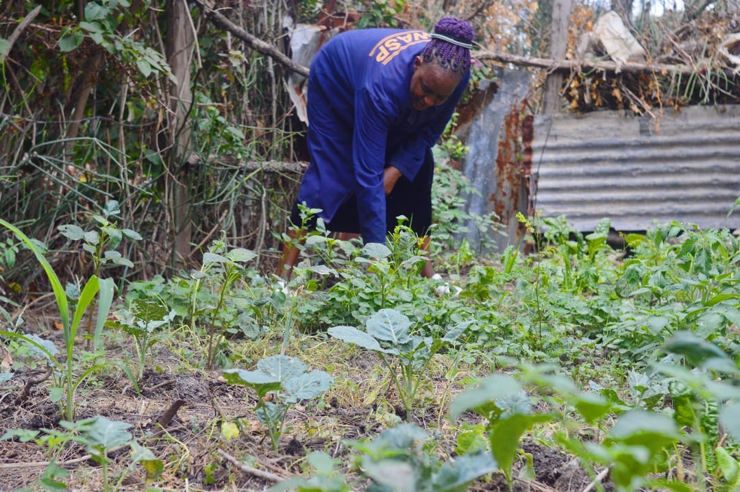 widow in her farm