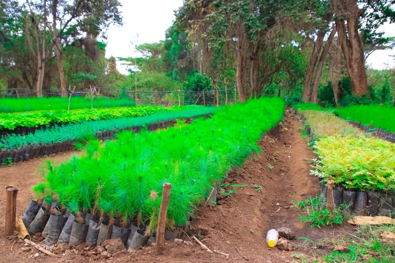 kajiado climate action project